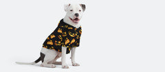 UltraModal™ Dog Hoodie | Jack Attack