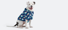 UltraModal™ Dog Hoodie | Beary and Bright