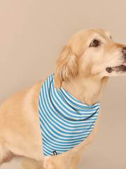 UltraModal™ BuddyBands™ | Amalfi Stripes