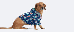 UltraModal™ Dog Hoodie | Beary and Bright