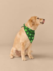 UltraModal™ BuddyBands™ | Lucky Pair