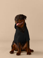 UltraModal™ Dog Hoodie | Black