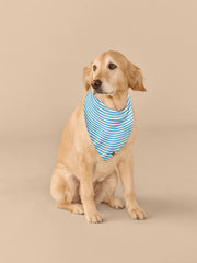 UltraModal™ BuddyBands™ | Amalfi Stripes