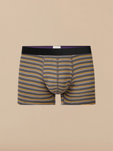 UltraModal™ Core Trunk | Fall Stripes