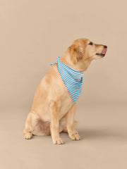 UltraModal™ BuddyBands™  | Amalfi Stripes