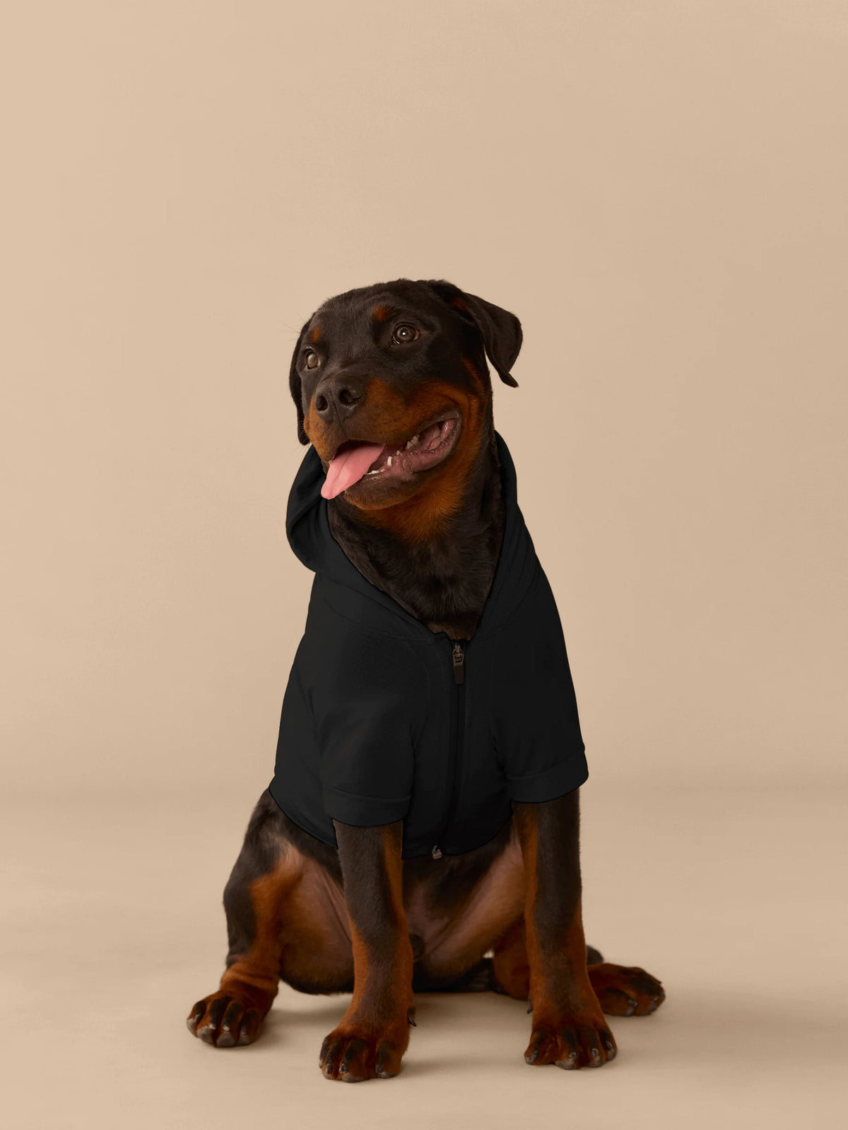 UltraModal™ Dog Hoodie | Black