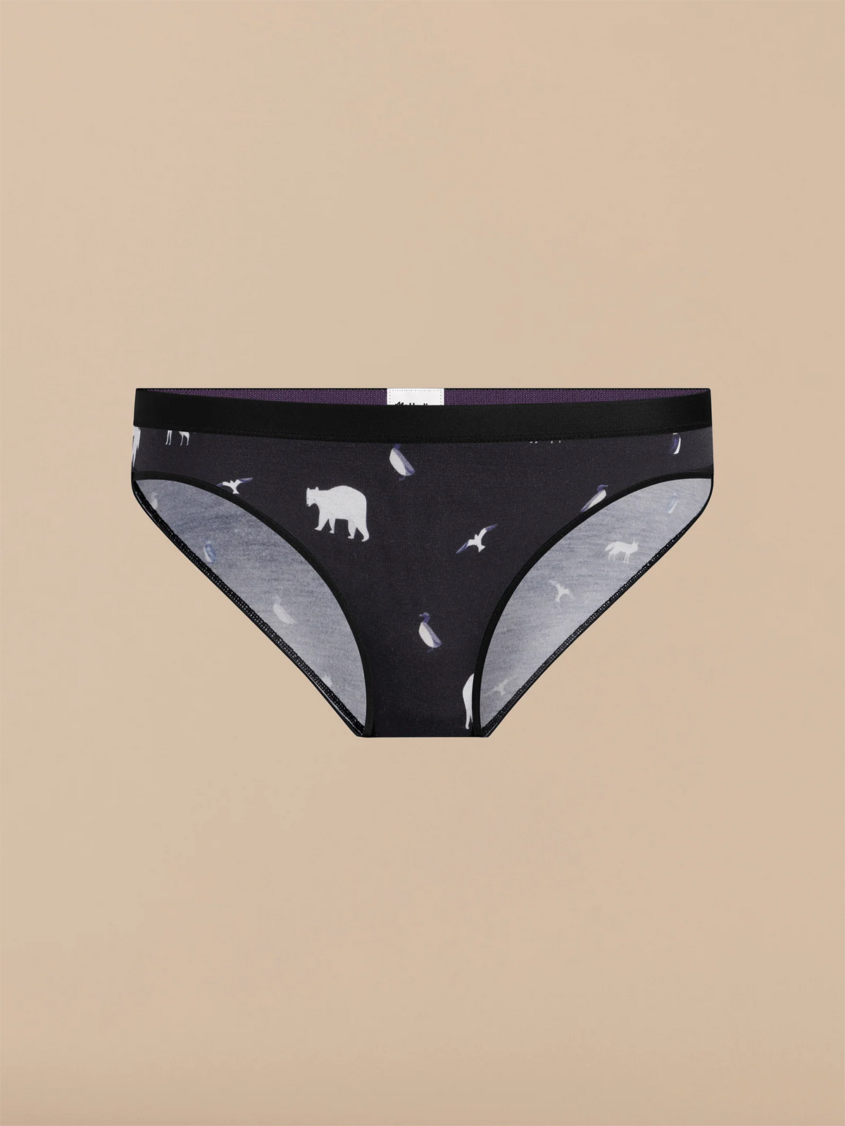 UltraModal™ Core Bikini | Arctic Chill