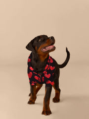 UltraModal™ Dog Hoodie | Floating Hearts