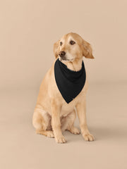 UltraModal™ BuddyBands™  | Black