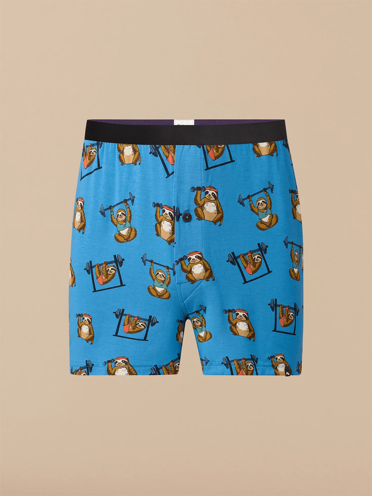 UltraModal™ Core Boxer | Slothercise
