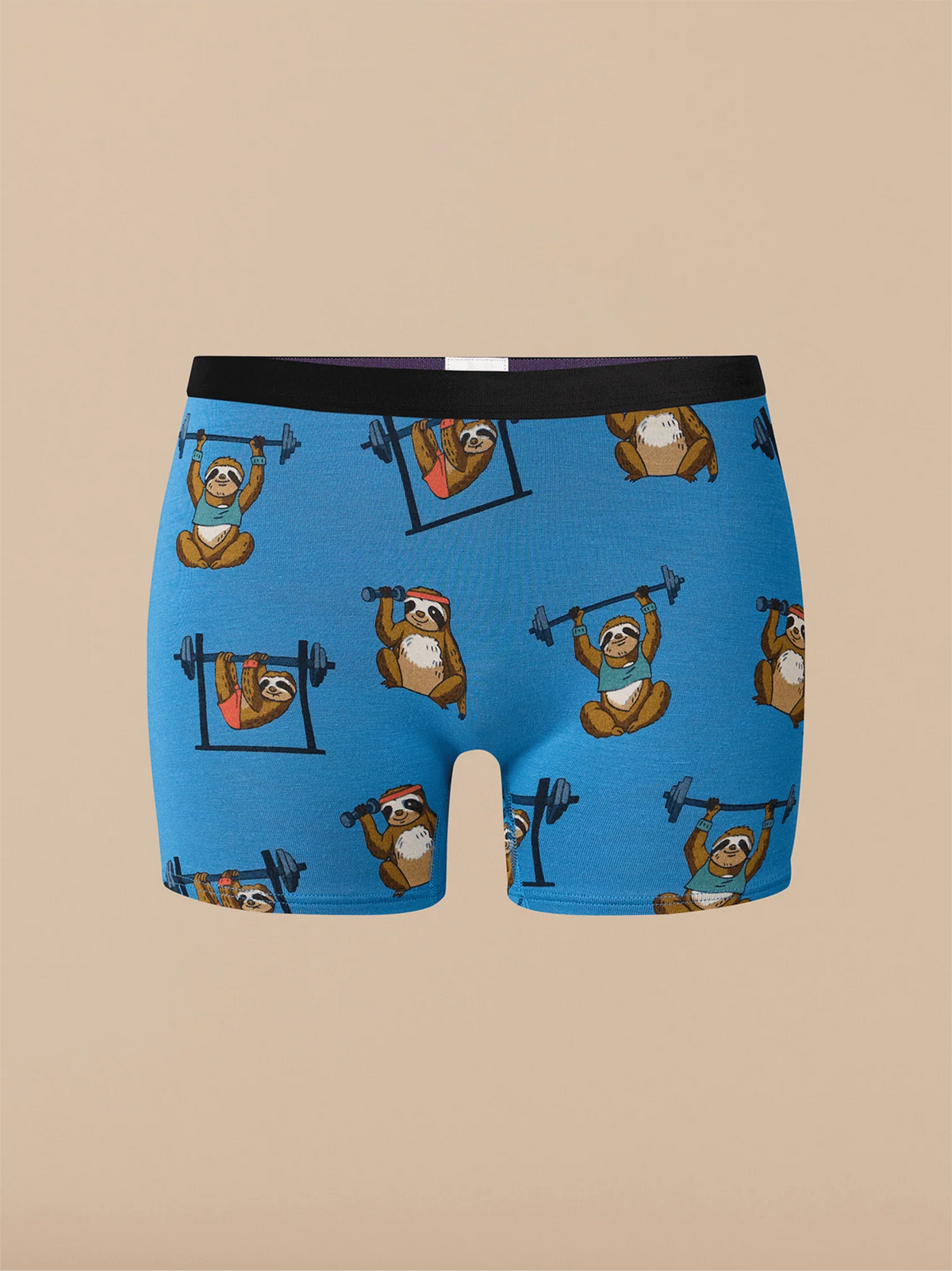 UltraModal™ Core Boyshort | Slothercise